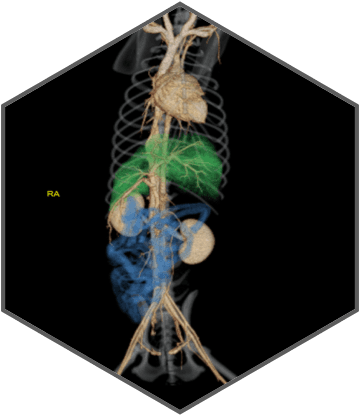 Excellent imaging applied to clinical practices across the board