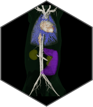 Excellent imaging applied to clinical practices across the board