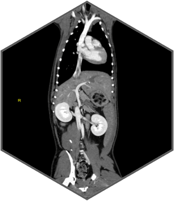 Excellent imaging applied to clinical practices across the board