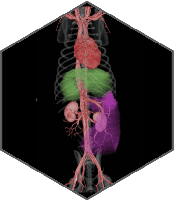 Excellent imaging applied to clinical practices across the board