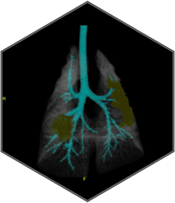 Excellent imaging applied to clinical practices across the board