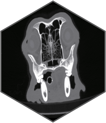 Excellent imaging applied to clinical practices across the board
