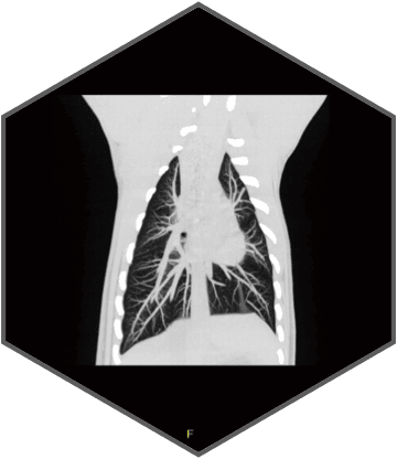 Excellent imaging applied to clinical practices across the board